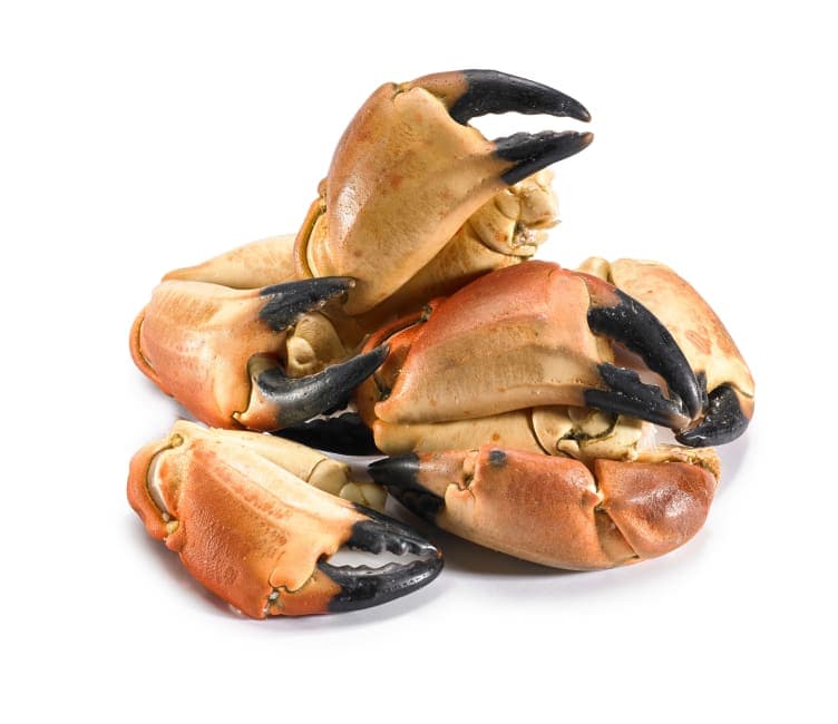 Krabbeklør bestilles pr stykk á ca.100g