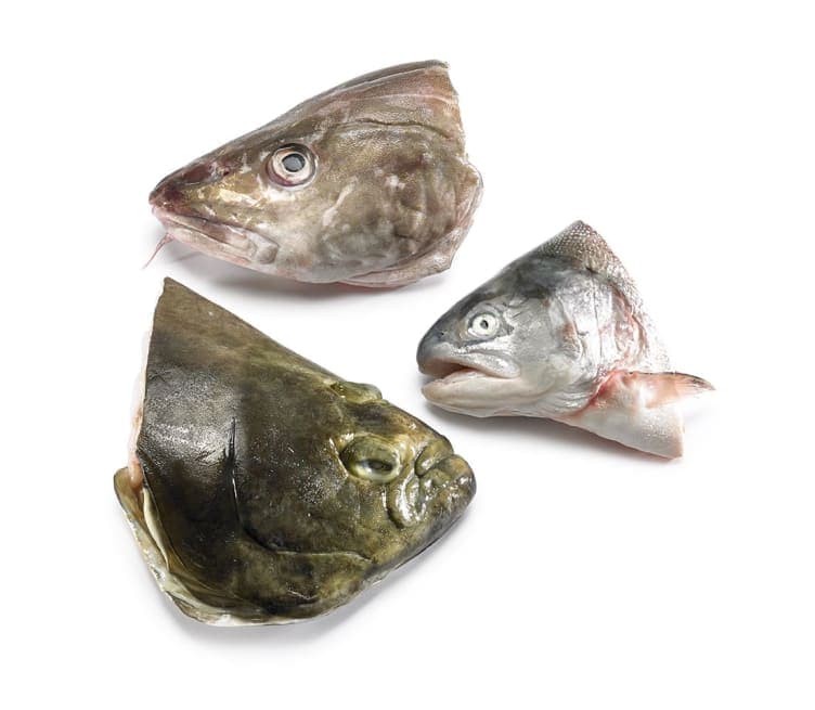 Fiskehoder