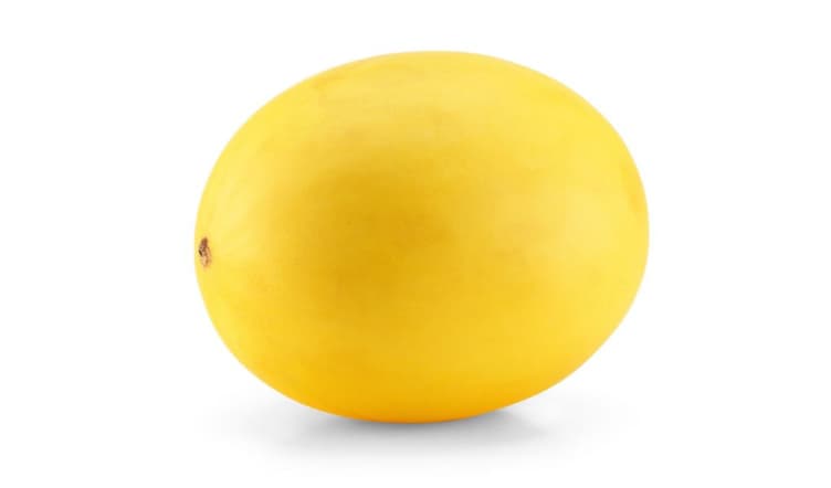 Melon