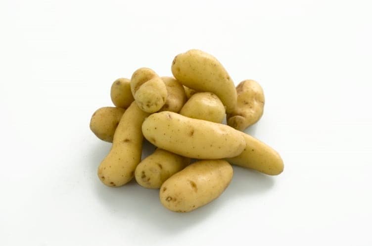 Delikatessepotet