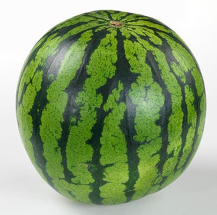 Hel vannmelon ca. 4kg