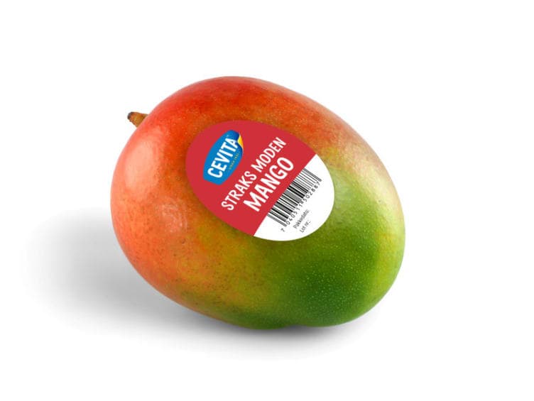 Mango stykk Cevita