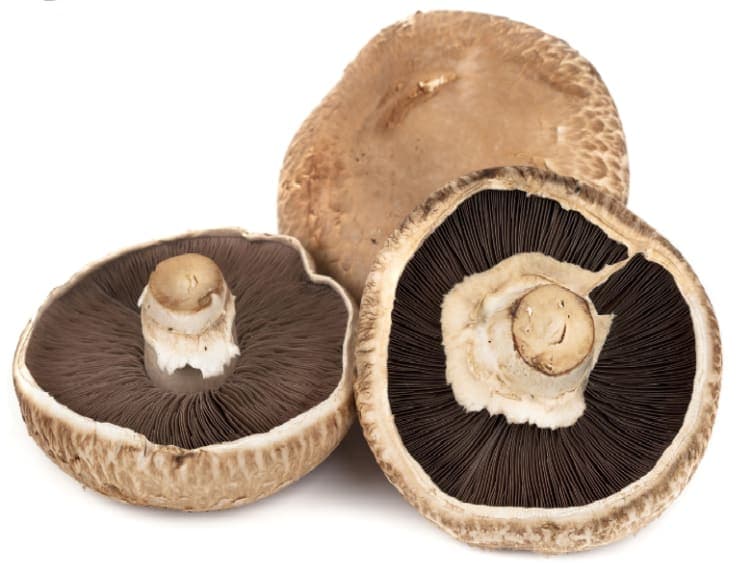 Portobello Sopp