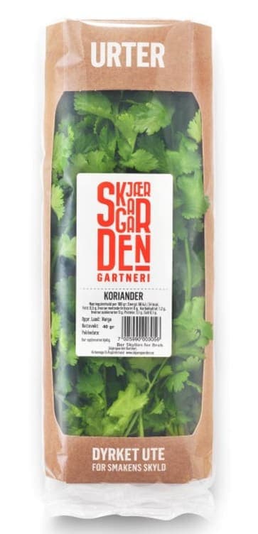 Koriander