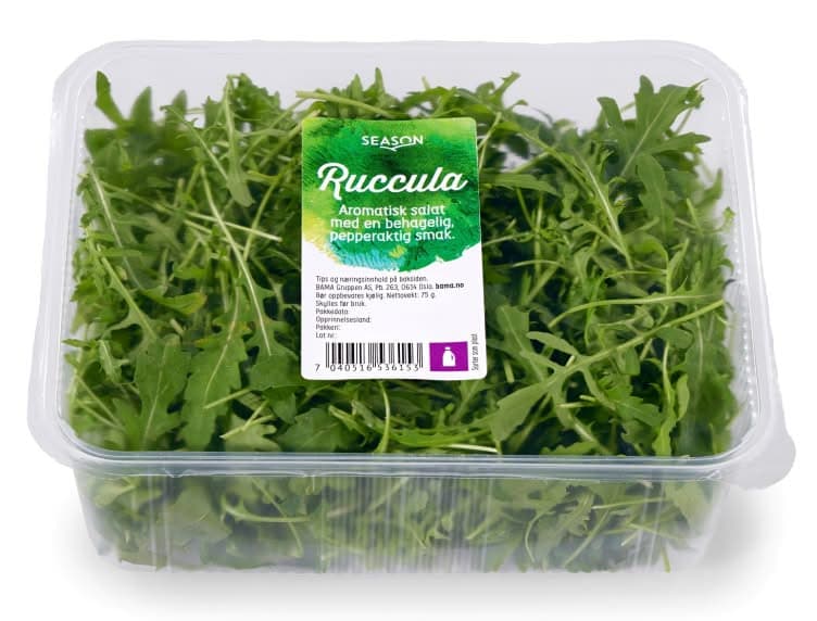 Ruccula