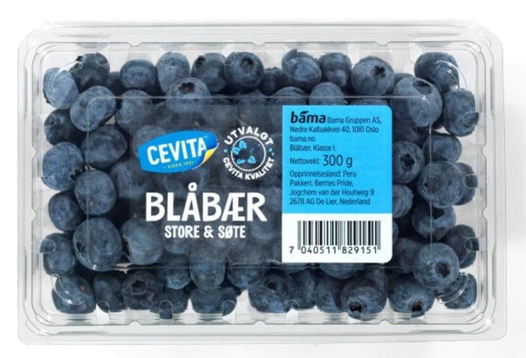Blåbær