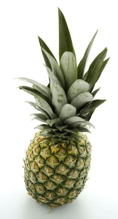Ananas