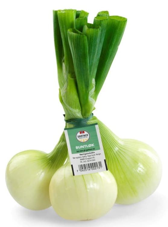 Løk Gul Bunt
