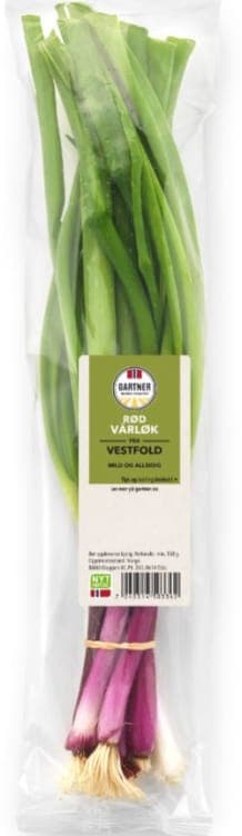 Vårløk