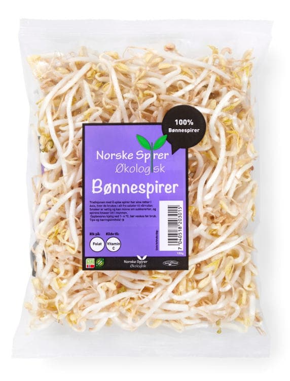 Bønnespirer