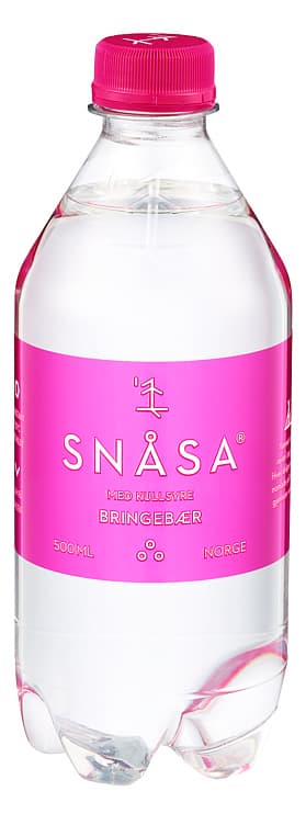 Snåsa Mineralvann