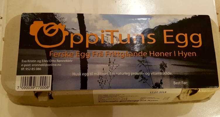 Egg Frittgående