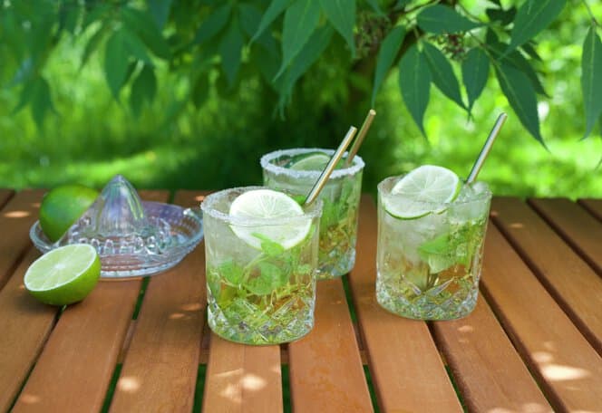 Mojito virgin