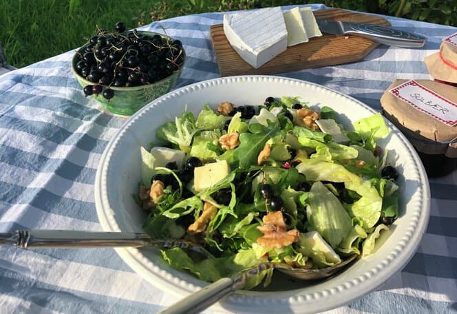 Salat med solbær, brie og valnøtter
