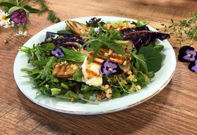 Lun salat med grillet pære, rød spisskål og chèvre