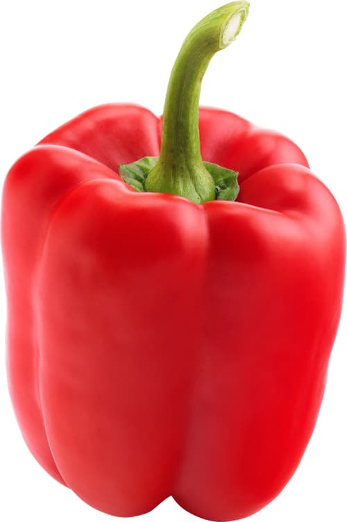 PAPRIKA RØD