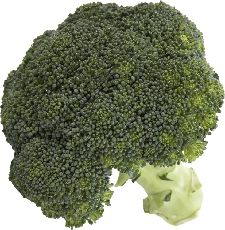 BROKKOLI