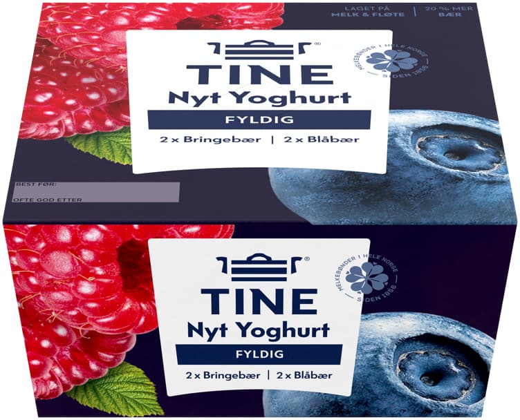 YOGHURT BLÅBÆR/ Bringebær 4 x 125 g