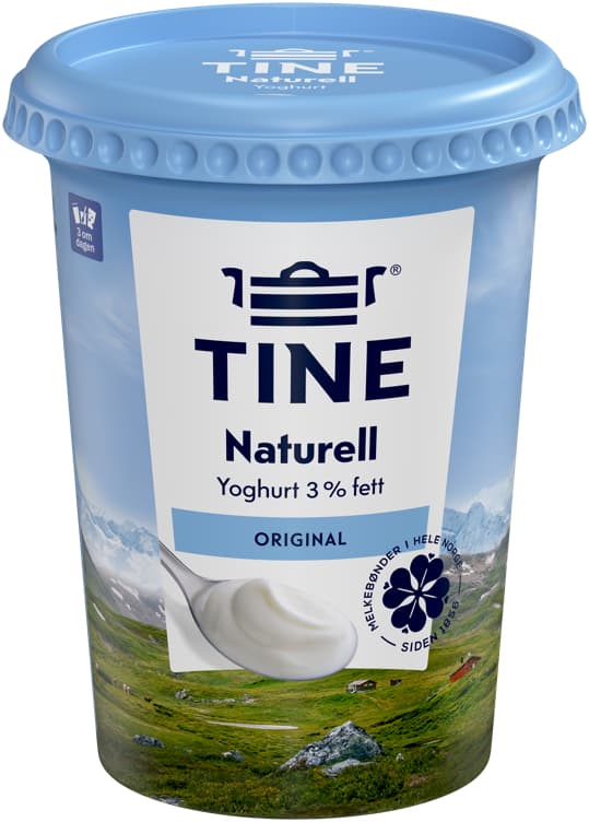 TINE YOGHURT NATURELL 500 g