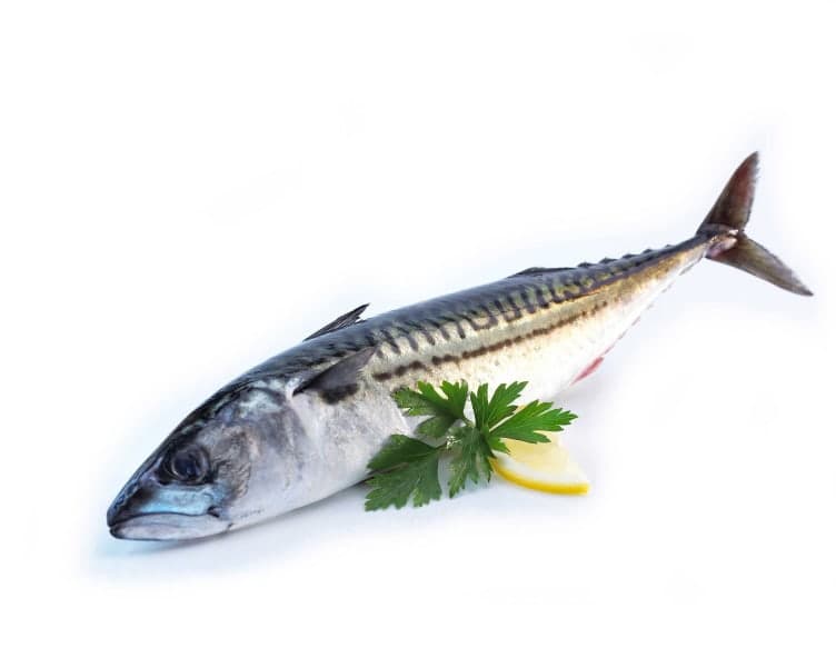 Hel makrell ca. 500g. Fra fiskedisken