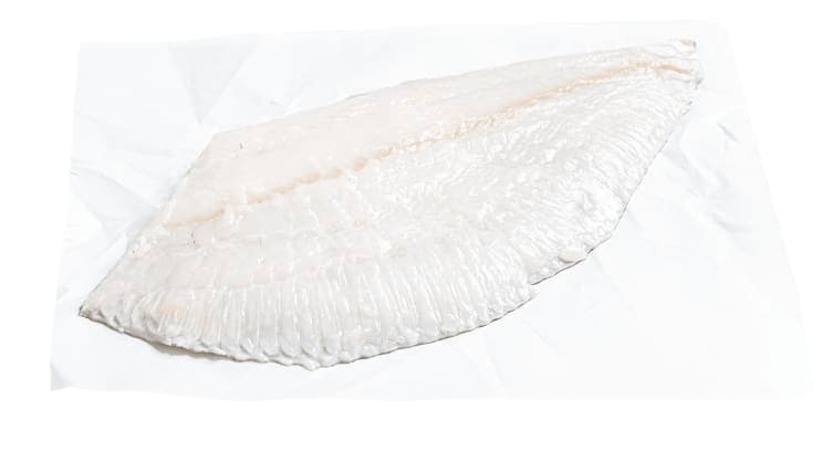 Piggvar Filet Oppdrett pr Kg
