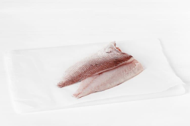 Red Snapper