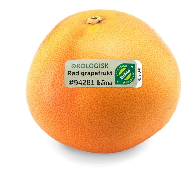 Grapefrukt