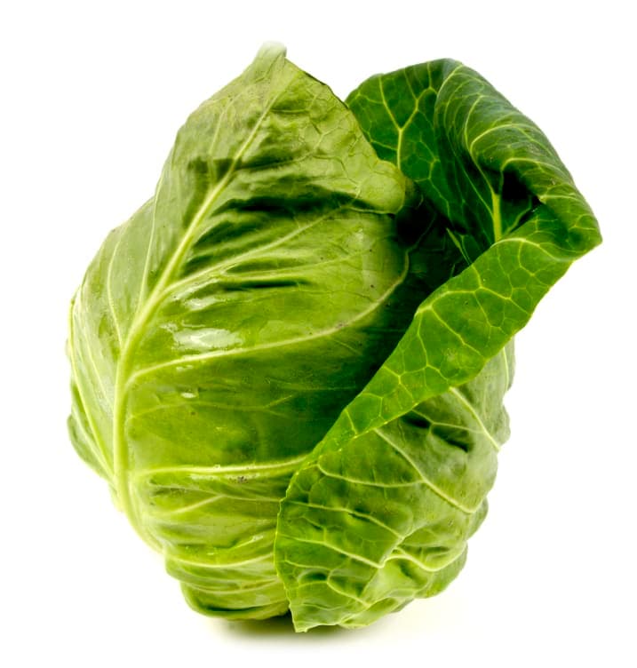 Sommerkål Nykål