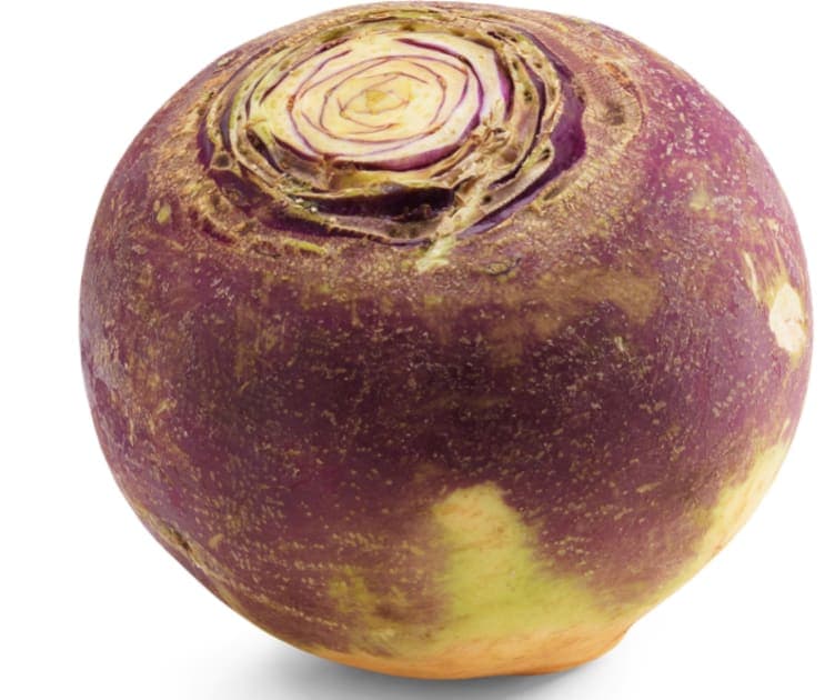 Kålrot