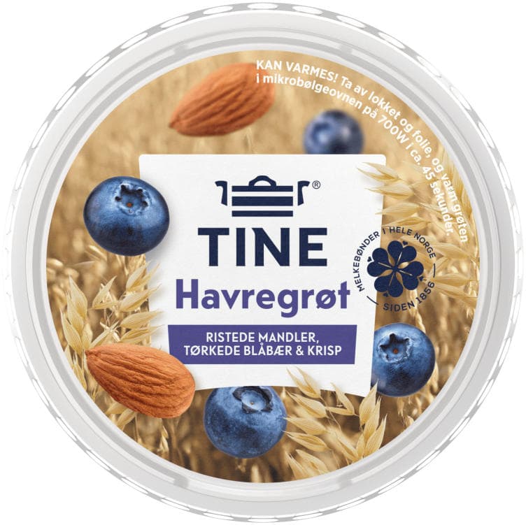 Havregrøt