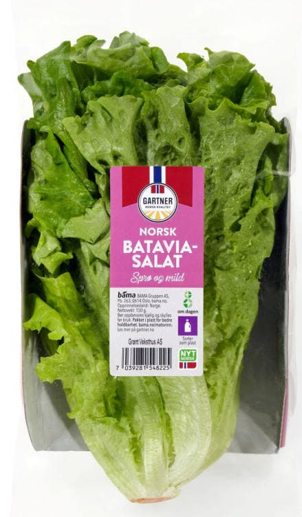 Salat