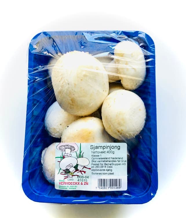 Champignon