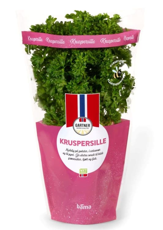 Kruspersille 6,5cm Potte Gartner