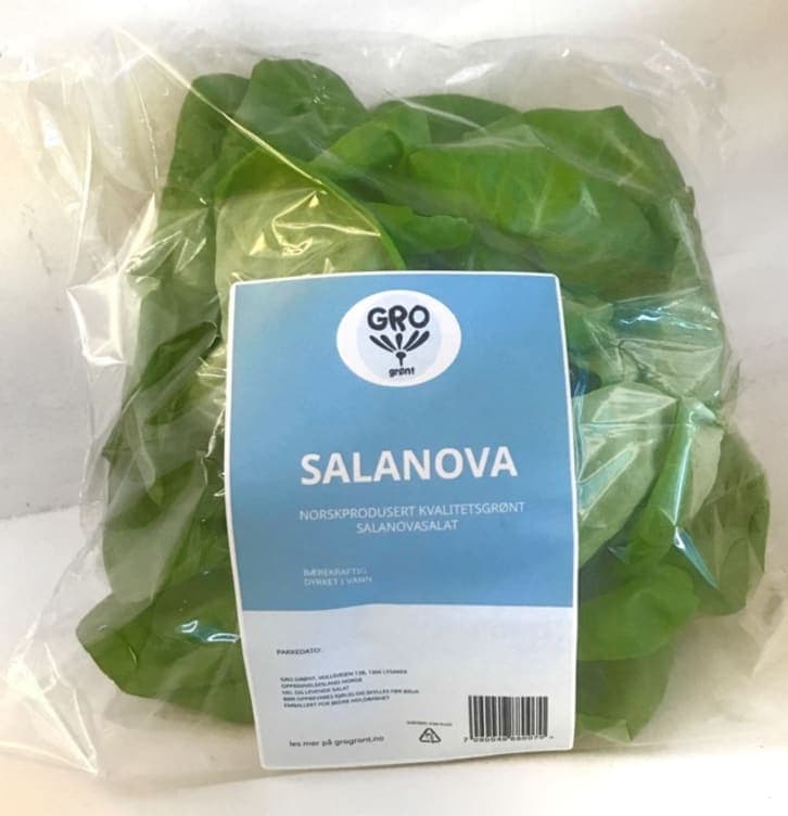 Salanova Salat